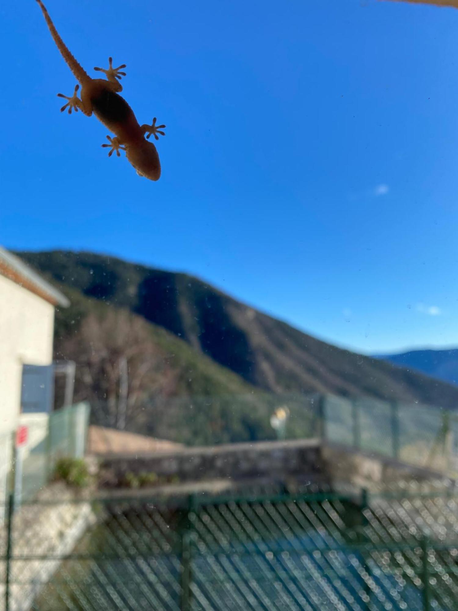 Auberge De Thiery Dış mekan fotoğraf